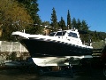 Fortuna 730
