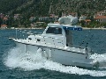 Damor 800