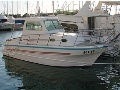 Damor 800