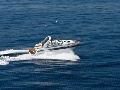 Bavaria 35 Sport