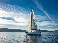 Shogun 36