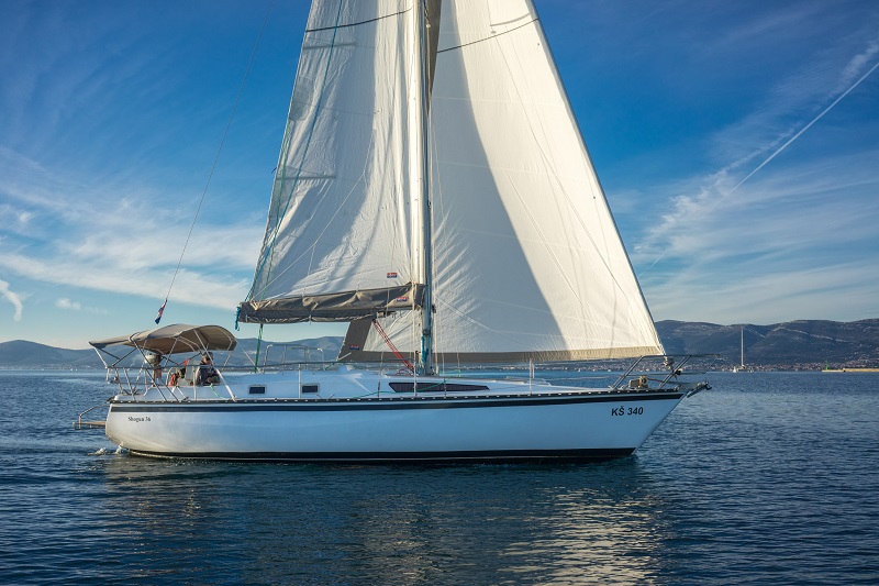 Shogun 36