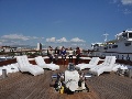 On deck