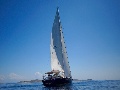 Hanse 541