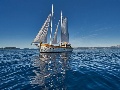 Sailing on Ardura