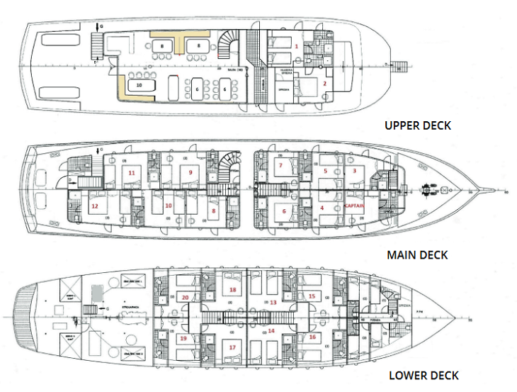 Layout