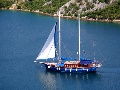 Blue Star