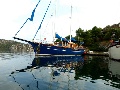 Blue Star