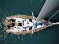 Bird view