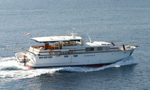 Chris Craft 58