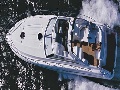 Bird view