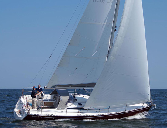 Delphia 37