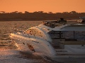 Monte Carlo 47 Fly