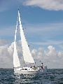 Hanse 355