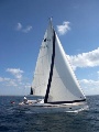 Bavaria 43 Cruiser