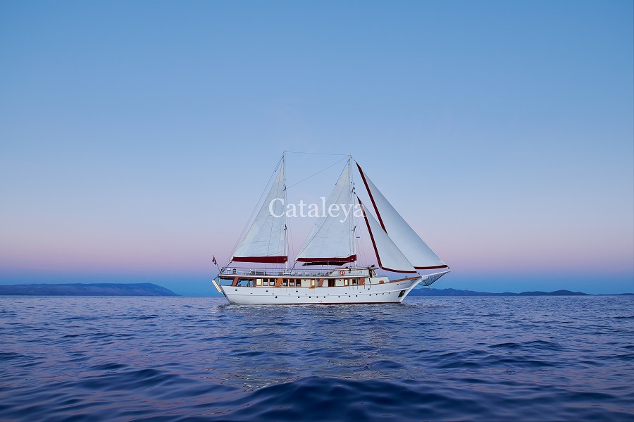 Cataleya am Meer