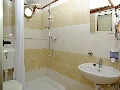 Toilet with shower 3