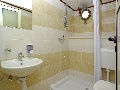 Toilet with shower 4