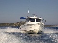 Orka 700