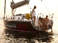 Salona 38 Performance Cruiser