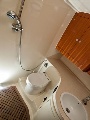 Toilet with shower