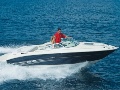 Sea Ray 240