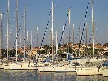 Boats moored in the marina