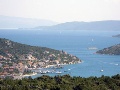 Vinisce