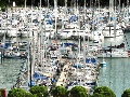 Boats at the marina