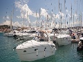 Boats in the marina