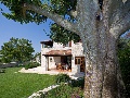 Casa Nini