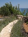 Garden detail