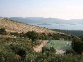 The view