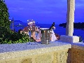 The view