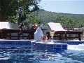 The pool