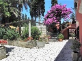 Outdoor area with mediterranean plants