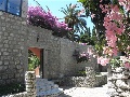 Outdoor area with mediterranean plants