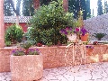 Detail from the garden