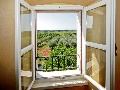 View from the window