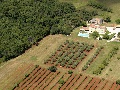 From the air