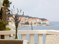 View from the terrace 
