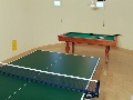 Billiard room with ping-pong table