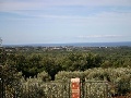 View from the house