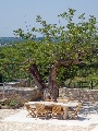 Outside table