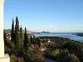 View from the house
