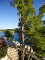 View from the house