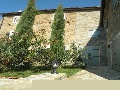 Pool and summer kitchen