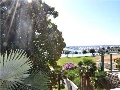 View to the sea from the garden