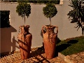 Detail from the garden