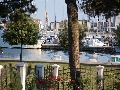 View to the marina from the garden